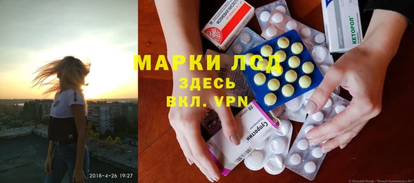 прущие грибы Бугульма