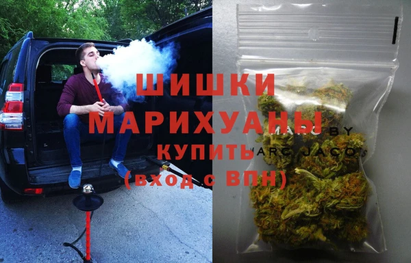 дурь Бронницы