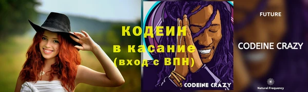 прущие грибы Бугульма