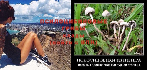 гидропоника Богородск