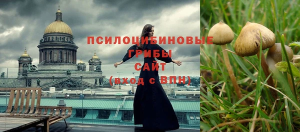 дурь Бронницы