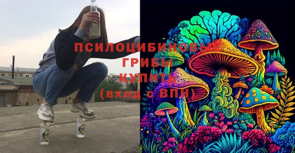 mdpv Богданович
