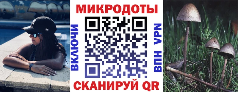 Псилоцибиновые грибы Magic Shrooms  купить наркотики цена  Верхний Тагил 